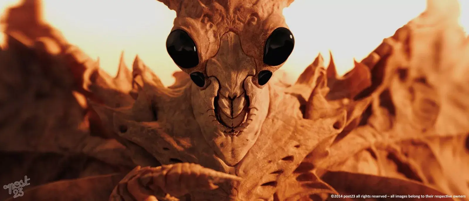 ender stills